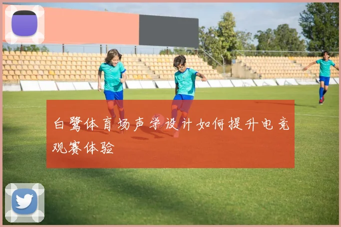 白鹭体育场声学设计如何提升电竞观赛体验