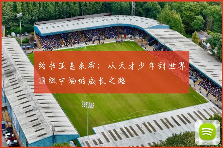 约书亚基米希：从天才少年到世界顶级中场的成长之路