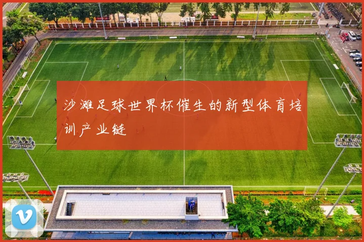 沙滩足球世界杯催生的新型体育培训产业链