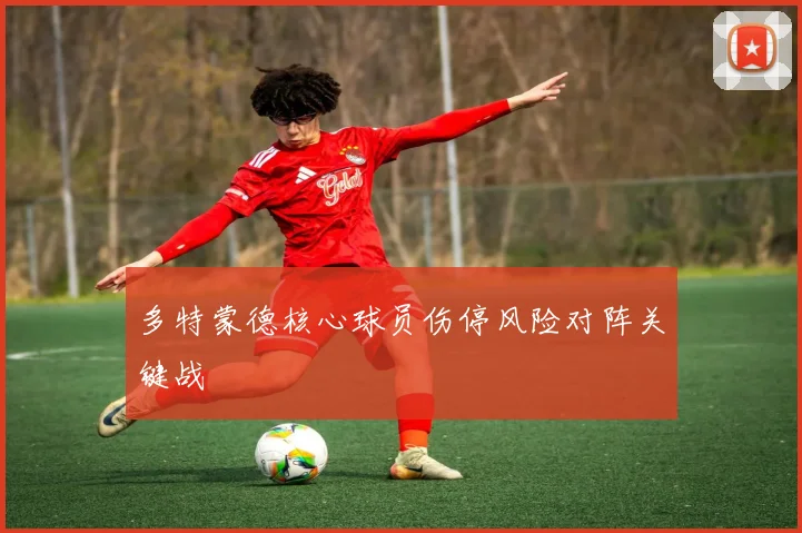 多特蒙德核心球员伤停风险对阵关键战