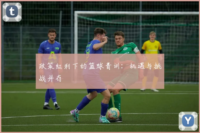 政策红利下的篮球青训：机遇与挑战并存